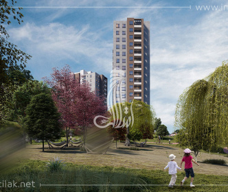 Oran Project   IMT - 1616