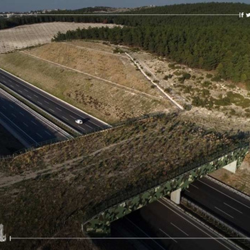 Route Istanbul-Izmir | Enrichir la faune et protéger l'environnement