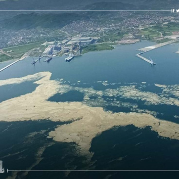 Inscription de la mer de Marmara dans les zones environnementales protégées à Istanbul