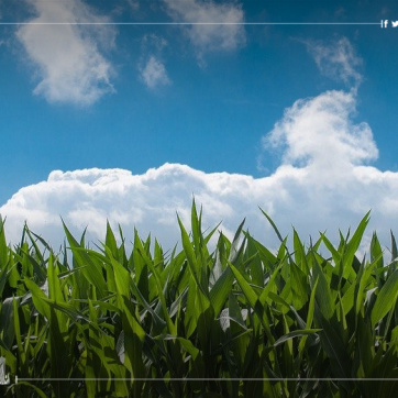 كورونا يتسبب في ارتفاع أسعار الأراضي في تركيا