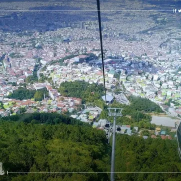 Uludağ Dağı ve Bursa şehrindeki tarihi asırlık ağaç