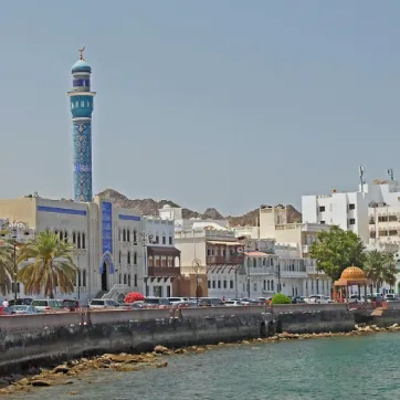 Where to Find the Best Properties for Sale in Muscat?