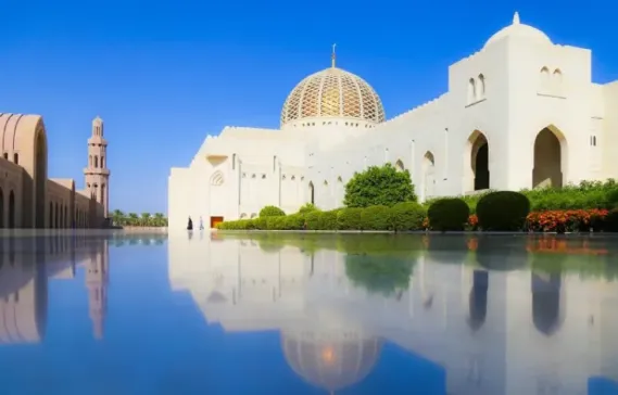 دليل تعريفي شامل عن منطقة الموالح في مسقط