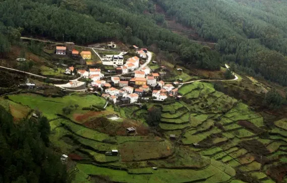 Rize Turkey: The City of Tea and Enchanting Nature