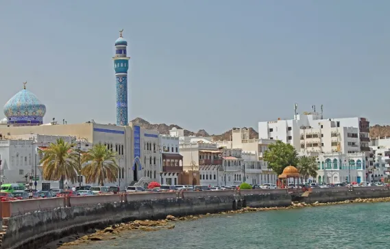 Where to Find the Best Properties for Sale in Muscat?