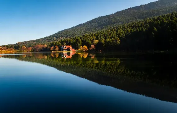 Living in the Turkish Countryside: A Comprehensive Guide to the Best Rural Areas in Turkey