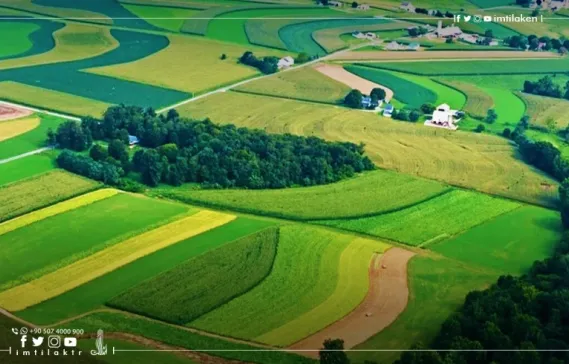 Prices of agricultural and residential land in Turkey