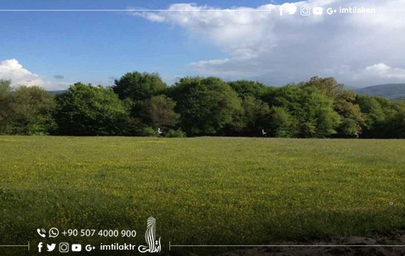 Important information before buying land in Turkey