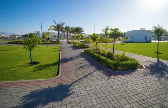 دليل تعريفي شامل عن حي الخوض في مسقط