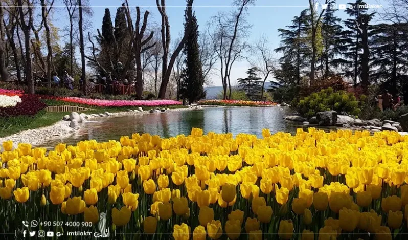 The Most Attracted Gardens in Istanbul