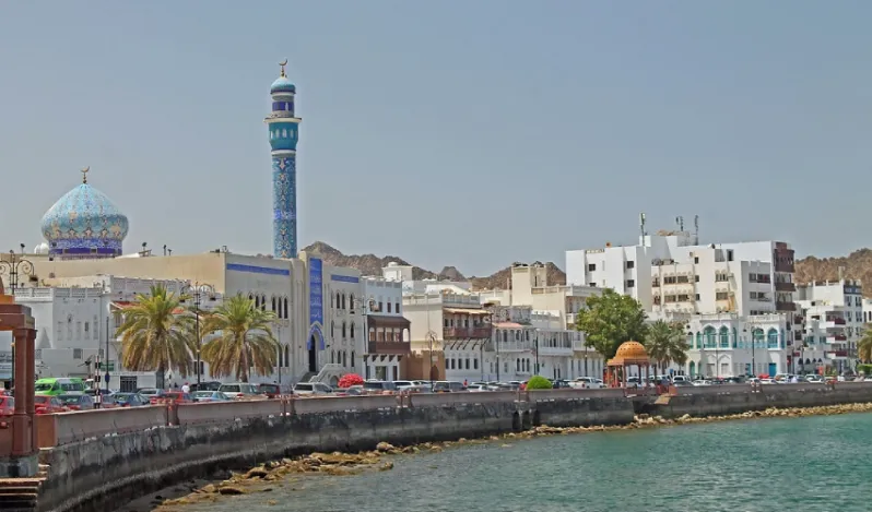 Where to Find the Best Properties for Sale in Muscat?
