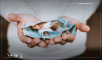 Investment & Real Estate Ownership in Turkey