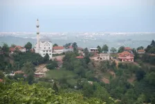 Villas for sale in Kocaeli