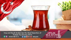 Iraq and Saudi Arabia Are the Most Importers of Turkish Tea During 2016 Iraq and Saudi Arabia Are the Most Importers of Turkish Tea During 2016