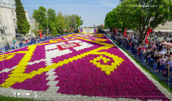 Gardens in Istanbul Decorated With Tulip and the Largest Carpet in Sultanahmet Gardens in Istanbul Decorated With Tulip and the Largest Carpet in Sultanahmet