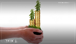 Investment in Turkey: Learn about the volume of Austrian investments in Turkey