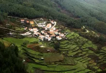 Rize Turquie : la ville du thé et de la nature enchanteresse