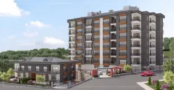 City Orchard IMT - 962