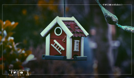 Top Factors to Achieve a Successful Real Estate Campaign in Turkey The Real Estate Promotional Campaigns in Turkey