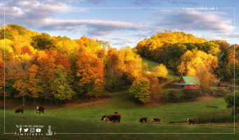Prix des fermes en Turquie: opportunités pour l'investissement agricole et le tourisme Prix des fermes en Turquie: opportunités pour l'investissement agricole et le tourisme