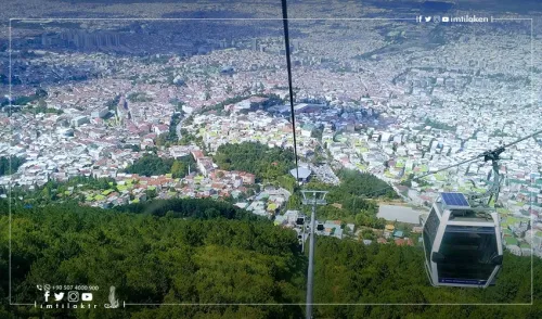 Le mont Uludag et l'arbre historique millénaire dans la ville de Bursa