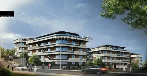 Magic Yalova Project