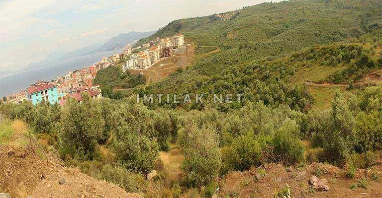 Mudanya Mountain Project