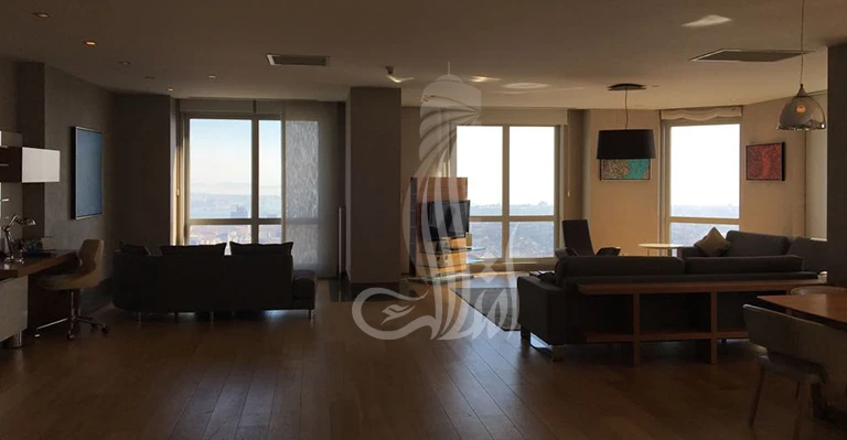 ИМТ-152 Муравейник Шишли