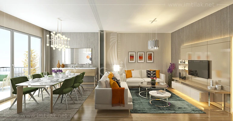IMT-162 The New Village Project