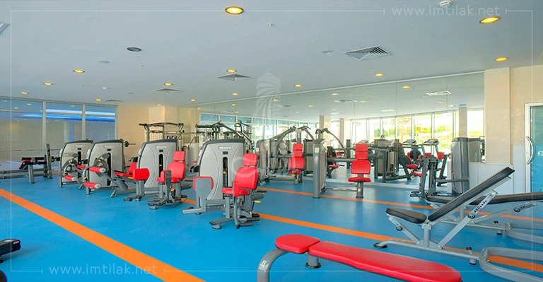 Complexe de Spradon IMT-176