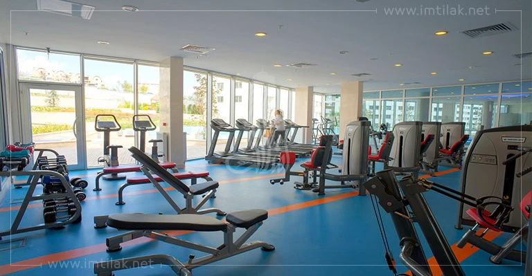 Complexe de Spradon IMT-176