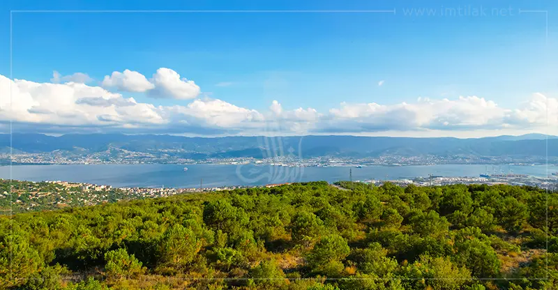 Plateau vert IMT- 602