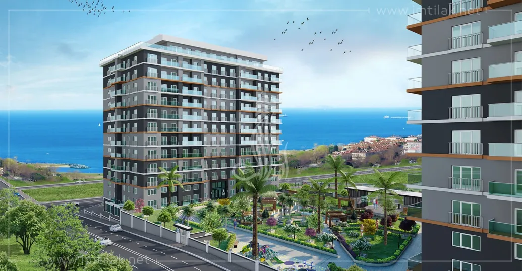 شاطئ النخيل IMT - 283