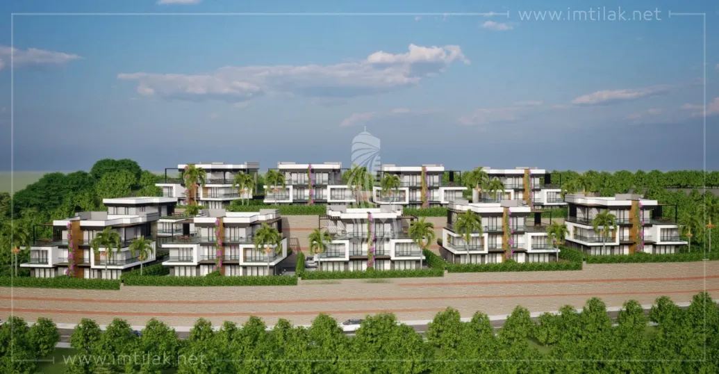 Ozar palaces IMT - 687