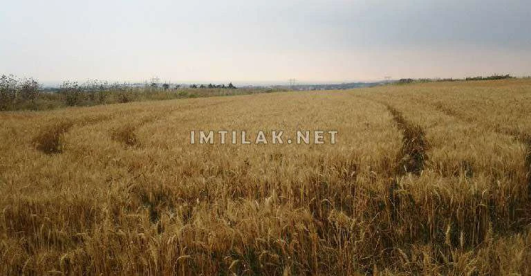 Земля на продажу в Турции - Инвестируйте в недвижимость Стамбула