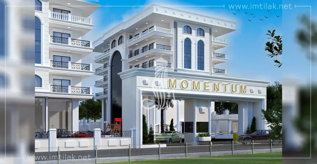 Momentum IMT - 801