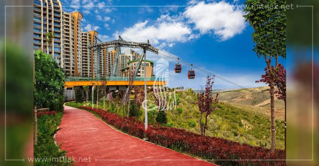 Golden Complex IMT - 1602