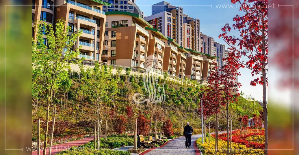 Golden Complex IMT - 1602