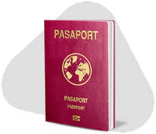 معاملات الجنسية