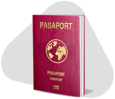 معاملات الجنسية