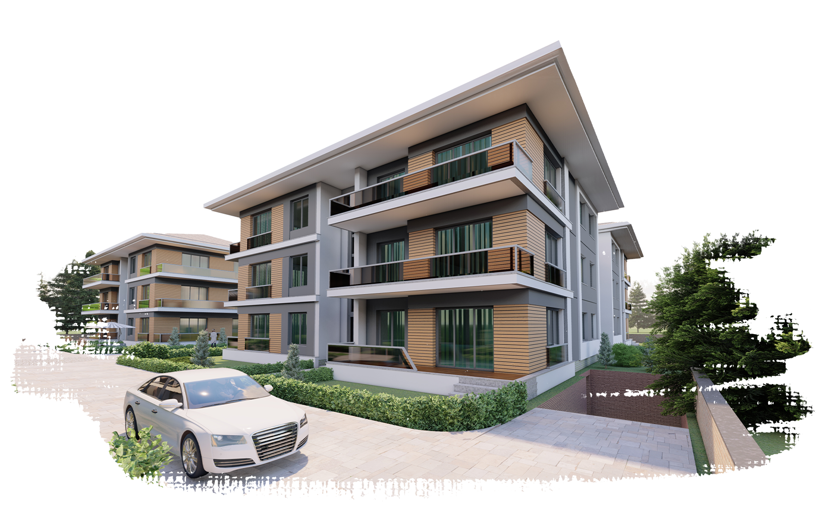 project2 image