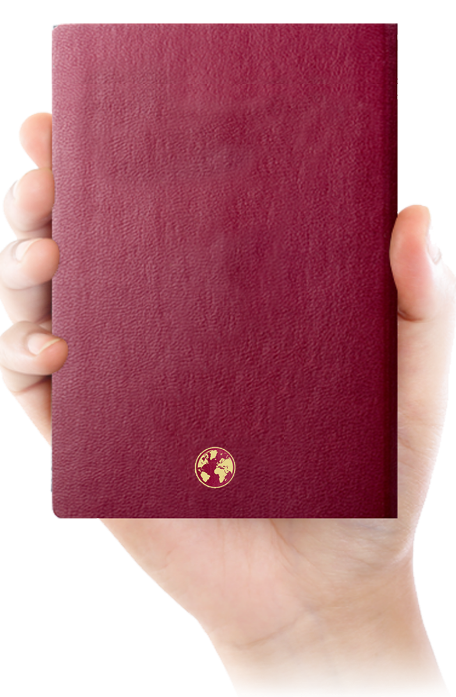 hand with passport image