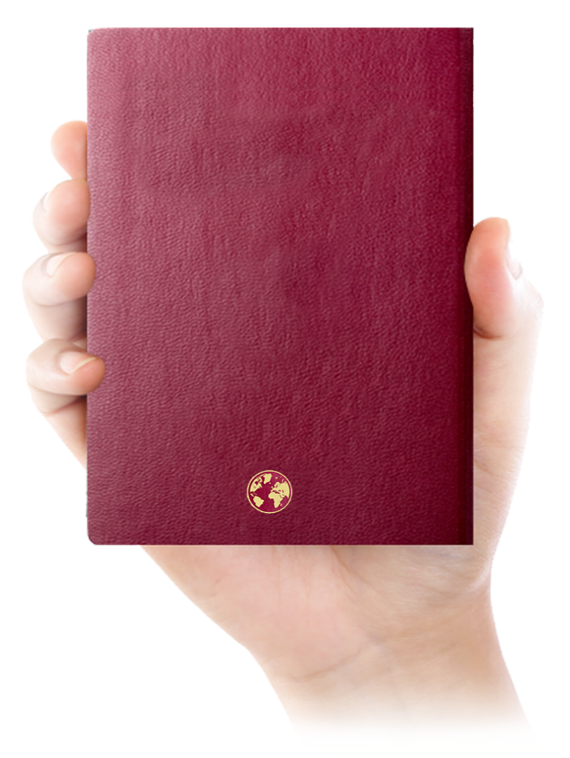 hand with passport image