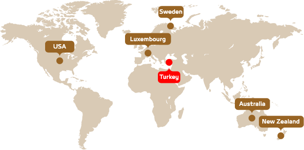world map