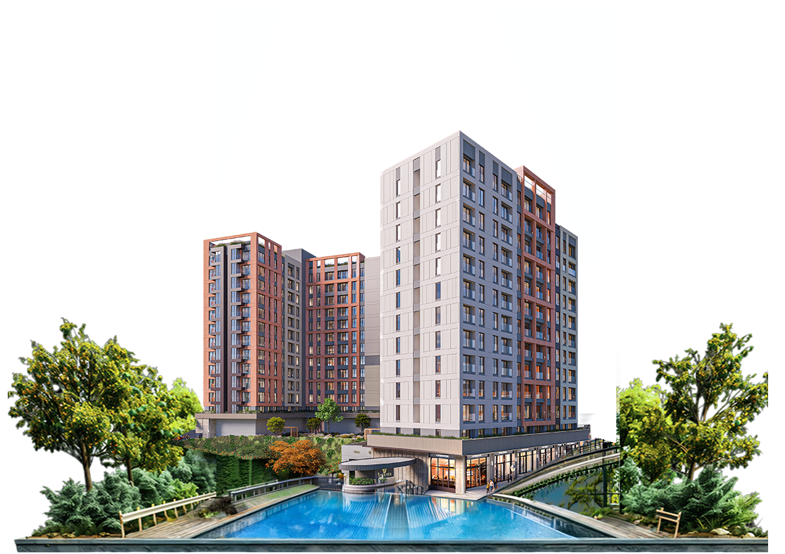 project1 image