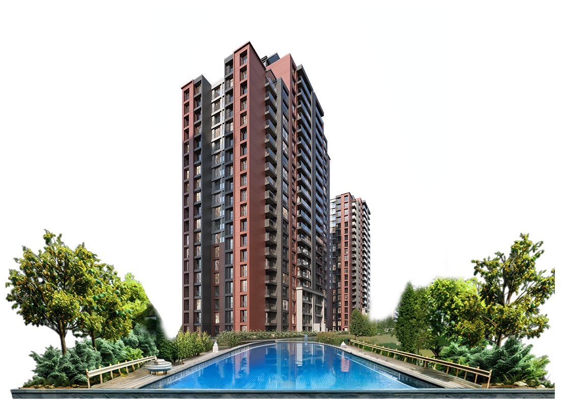 project1 image