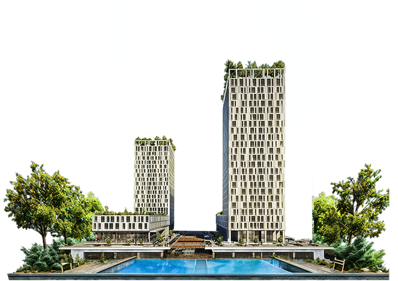 project1 image