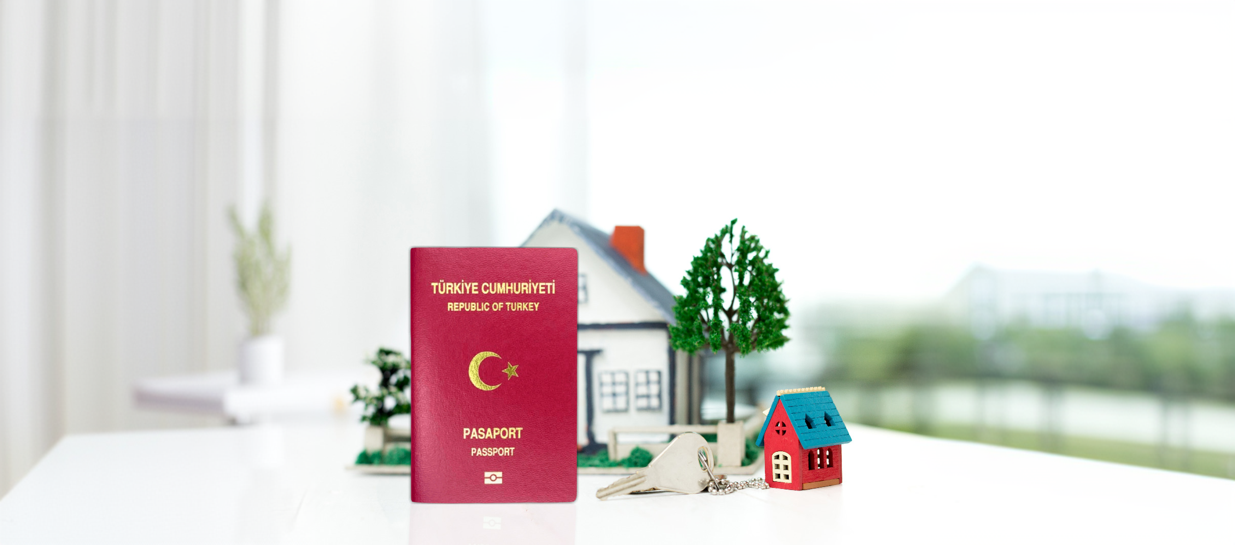 Citizenship success story visual