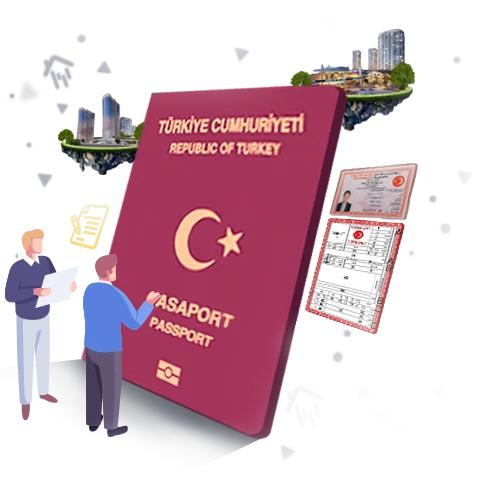 Turkish citizenship transactions