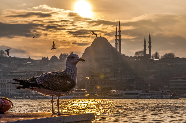 informations sur la Turquie